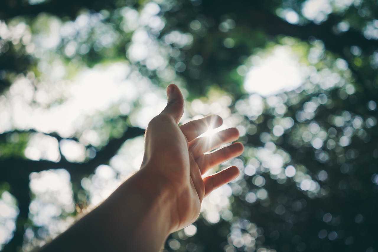 Helping Hand